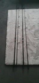 carp rods for sale near me